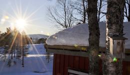 Fuglekasse th motlys 1_1024x592