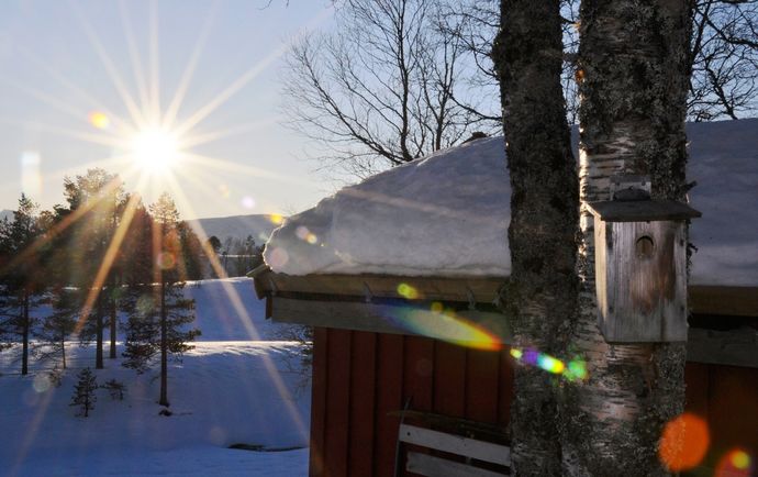 Fuglekasse th motlys 2_1024x644