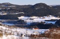 Nestua Bjørnstad og Landsemgardene i bakgrunnen. Foto: Willy