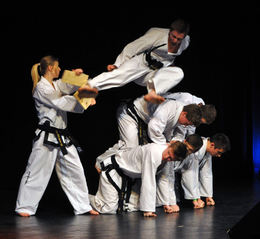 taekkwon do