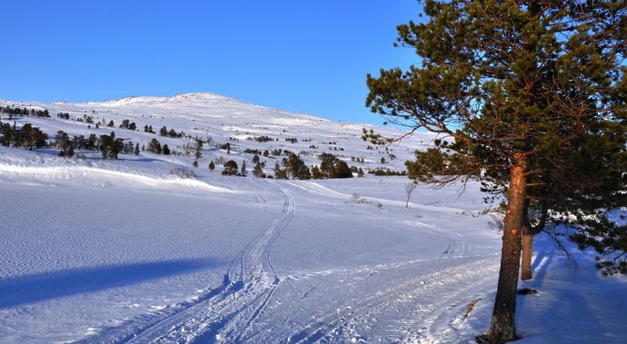Tøråsen skåkleiva_1024x562