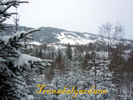 DSCN1772