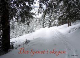 DSCN1781