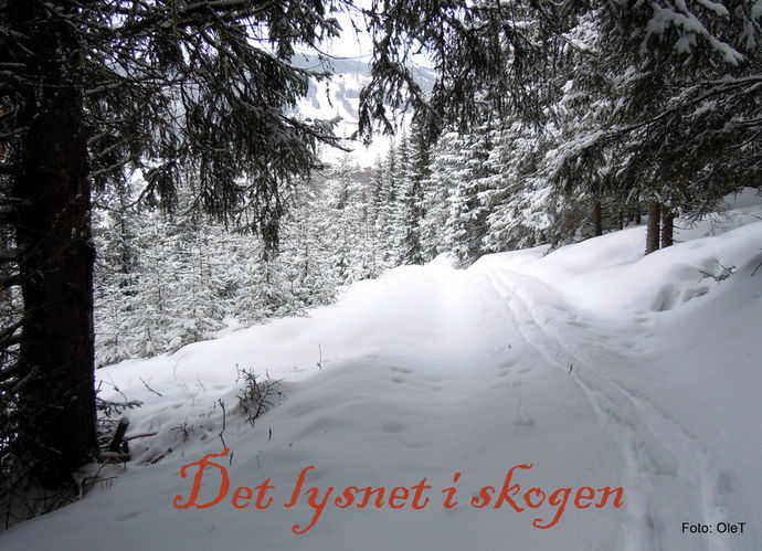DSCN1781