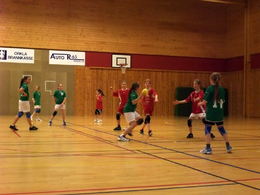J10Forsvar