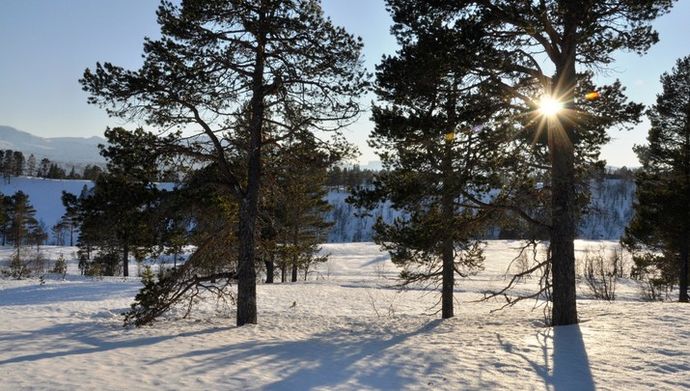 Låg januarsol Trollheimen_715x405