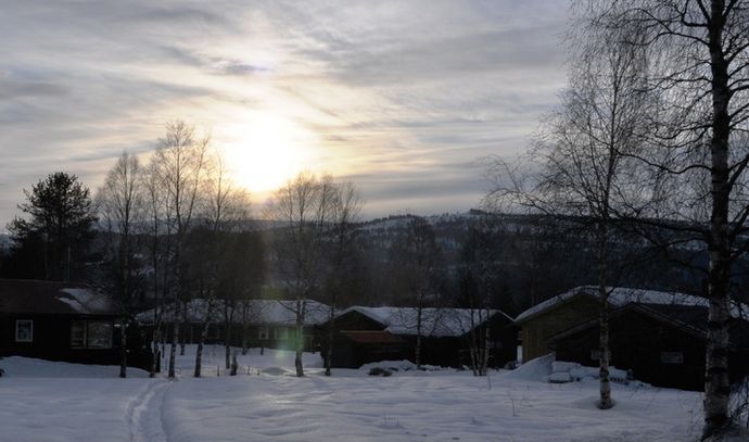 Sunna motlys 1_715x422