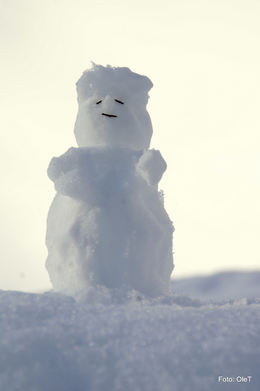 Snøgubbe