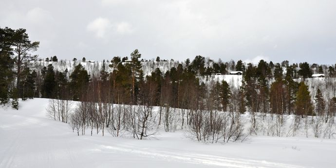 240212 Tørsåsen skyline_1024x512