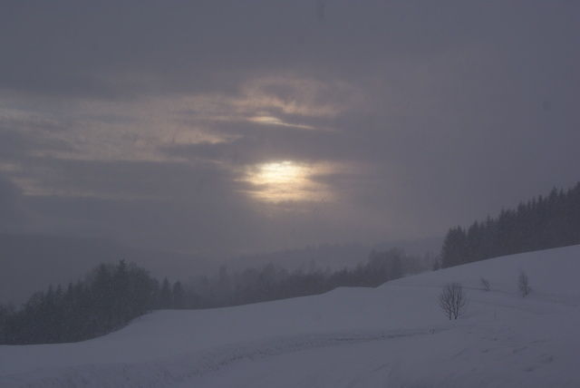 Snøbyger 