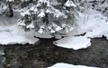 Gjøåa renner stille gjennom vinterlig granskog i Grønlifeltet. Foto: Willy