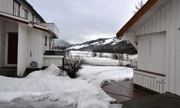 Flom PAune 2_1024x617