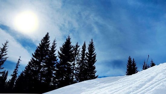 vårvær adressa_550x312