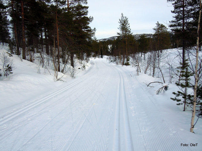 DSCN1978_715x536
