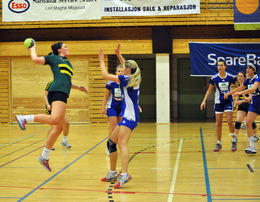 ntnu forsvar