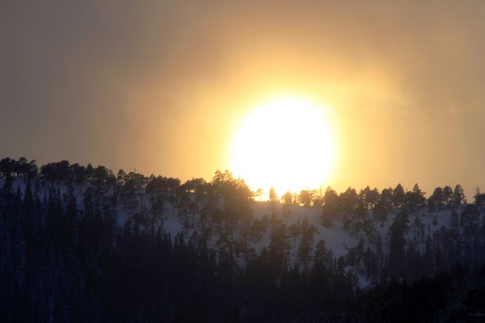 Trond sol_1024x683