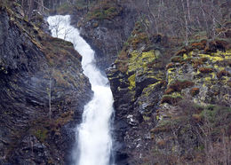 E-foss (2)