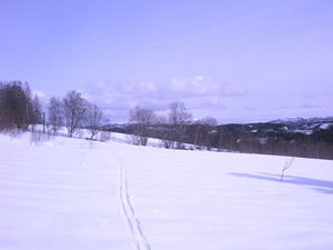 Overskyet, skispor_300x225