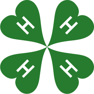 4H