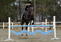 malin ulvestad hopp