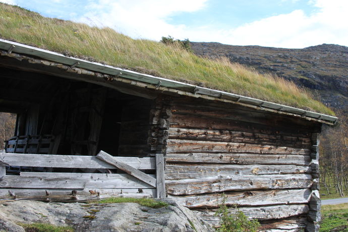 Tra et tak Trond M_1024x683