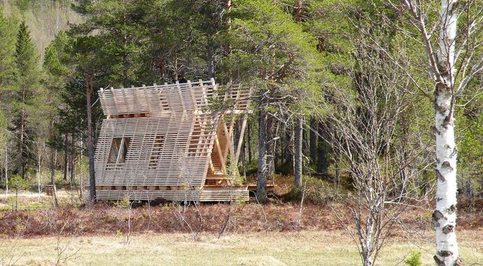 fugletittertårnet_1024x564