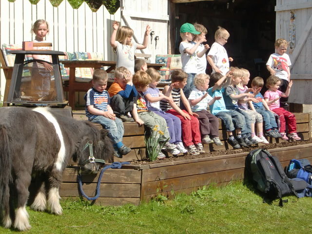 turdag 042