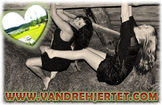 hovedbilde