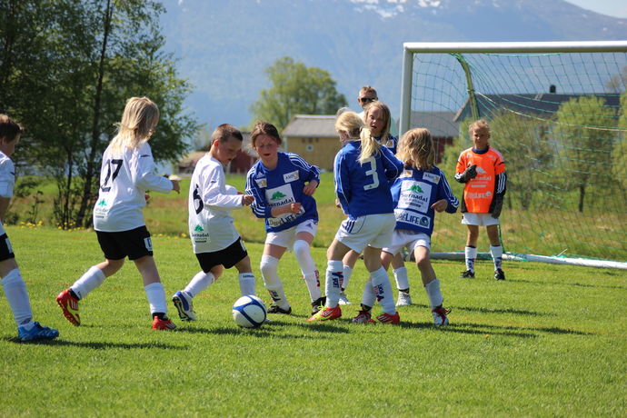 IMG_0499_1024x683