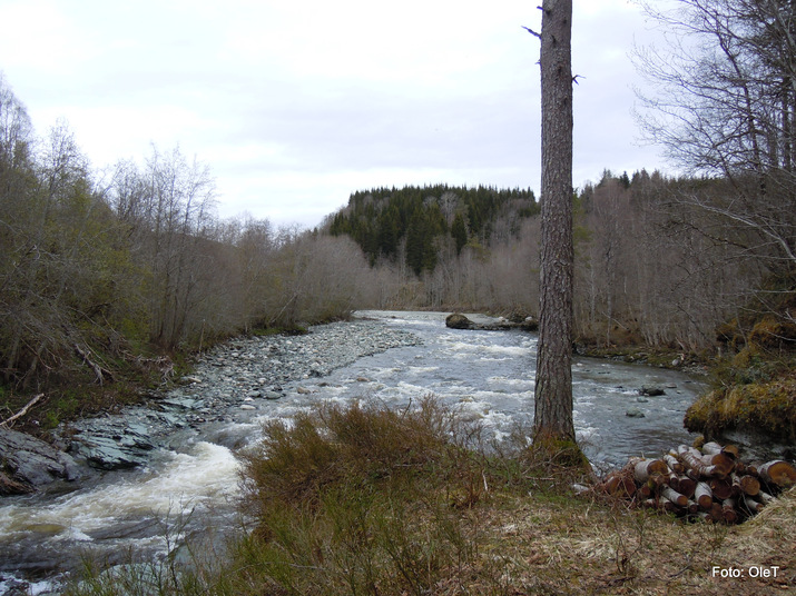 Surna, Svaberghølen