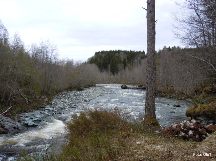 Surna, Svaberghølen