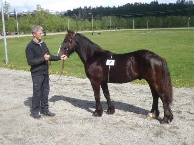 Smiset Blessen