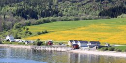 løvetanntid Trond 1_1024x513
