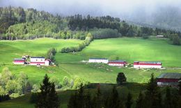 Bjørnås skåkleiva skodde 2_1024x615