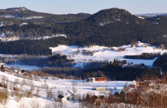 nestun_550x355