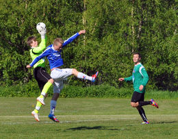 volda emil