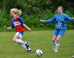 silregn halsa