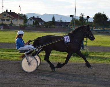 Leangen 1