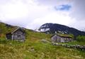 Det går mot sommar i Naustådalen