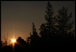 Sol-5
