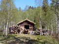 Fossdalen. Det kommer flere fyringssesonger.