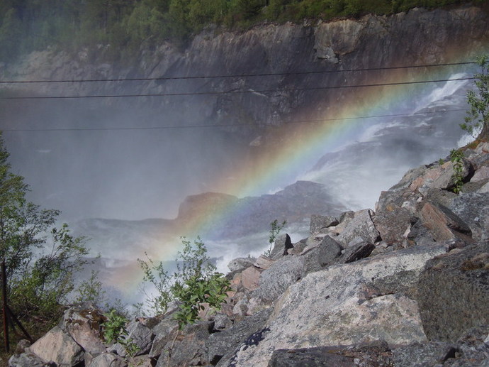 P6230319_715x536