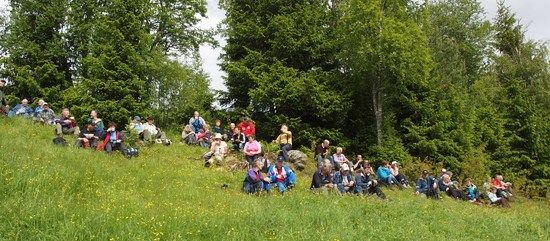 matpause_550x241