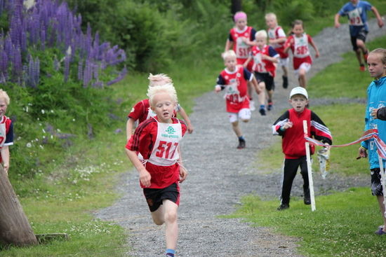 Triatlon_550x367