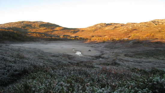 Trollheimen