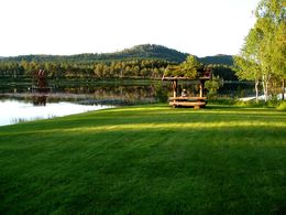 Scenen vår består av skog, vatn og grønt sommargras på Iglgjonna