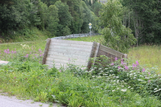 IMG_9268_550x367