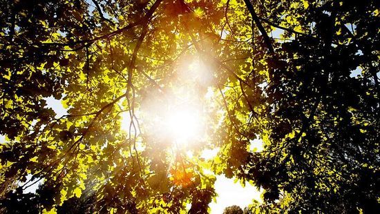 sol_1224082c_550x310