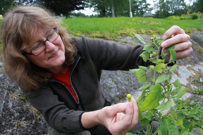 hagefavoritt 2 Susanne_700x466