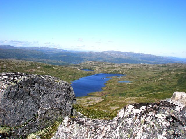 Gråortjønnene